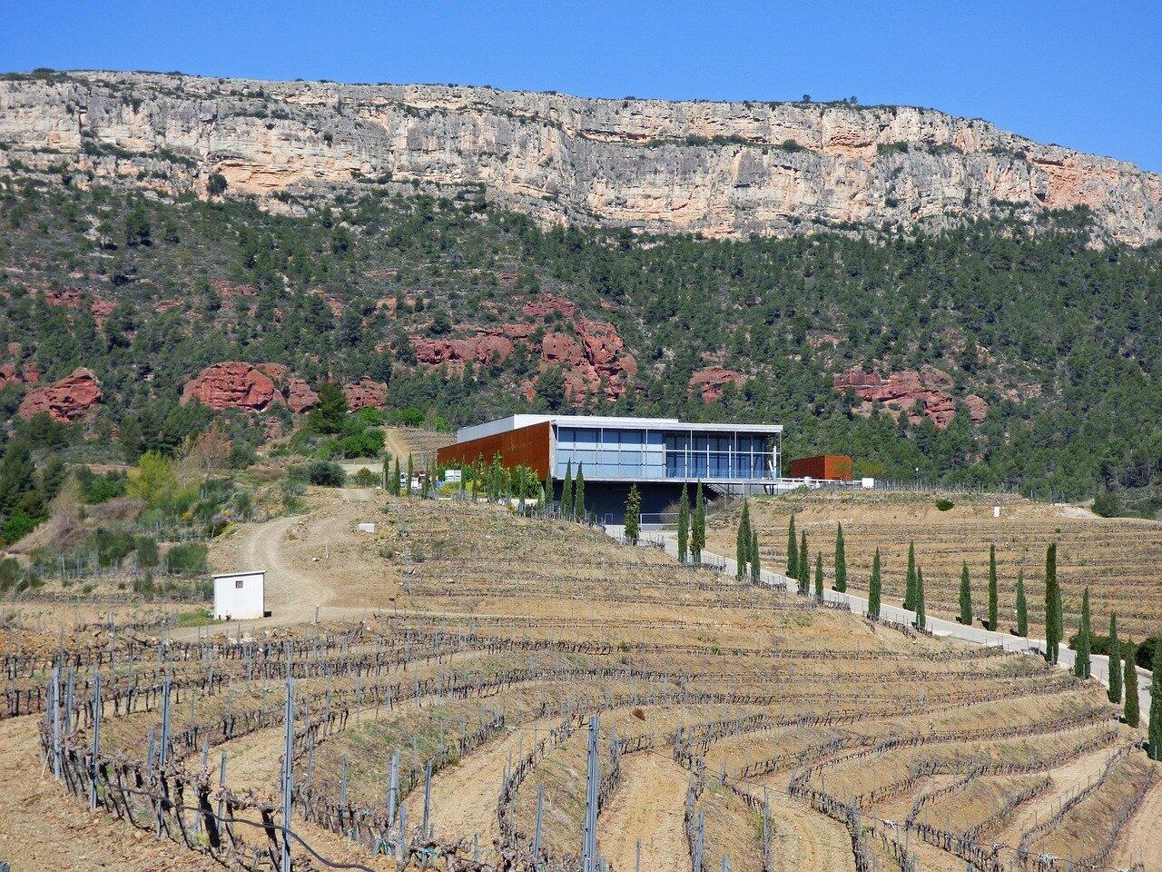 Falset Priorat vineyard landscape