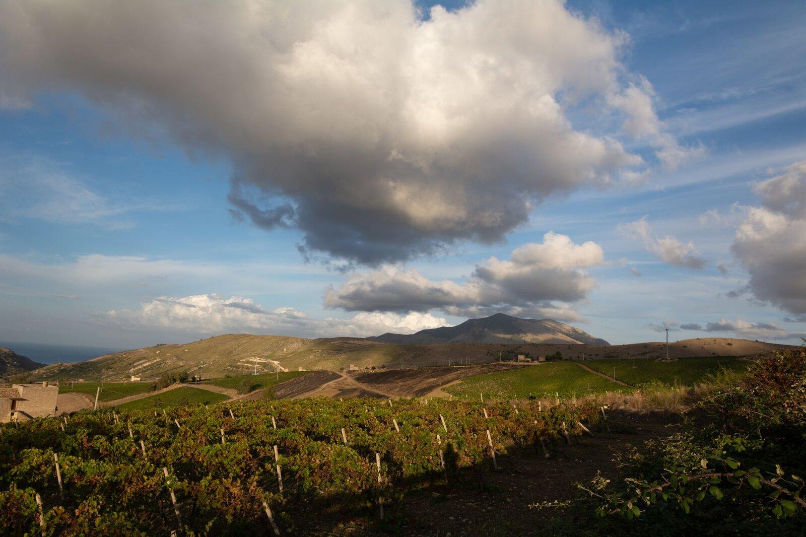 Priorat landscape vineyards mountains