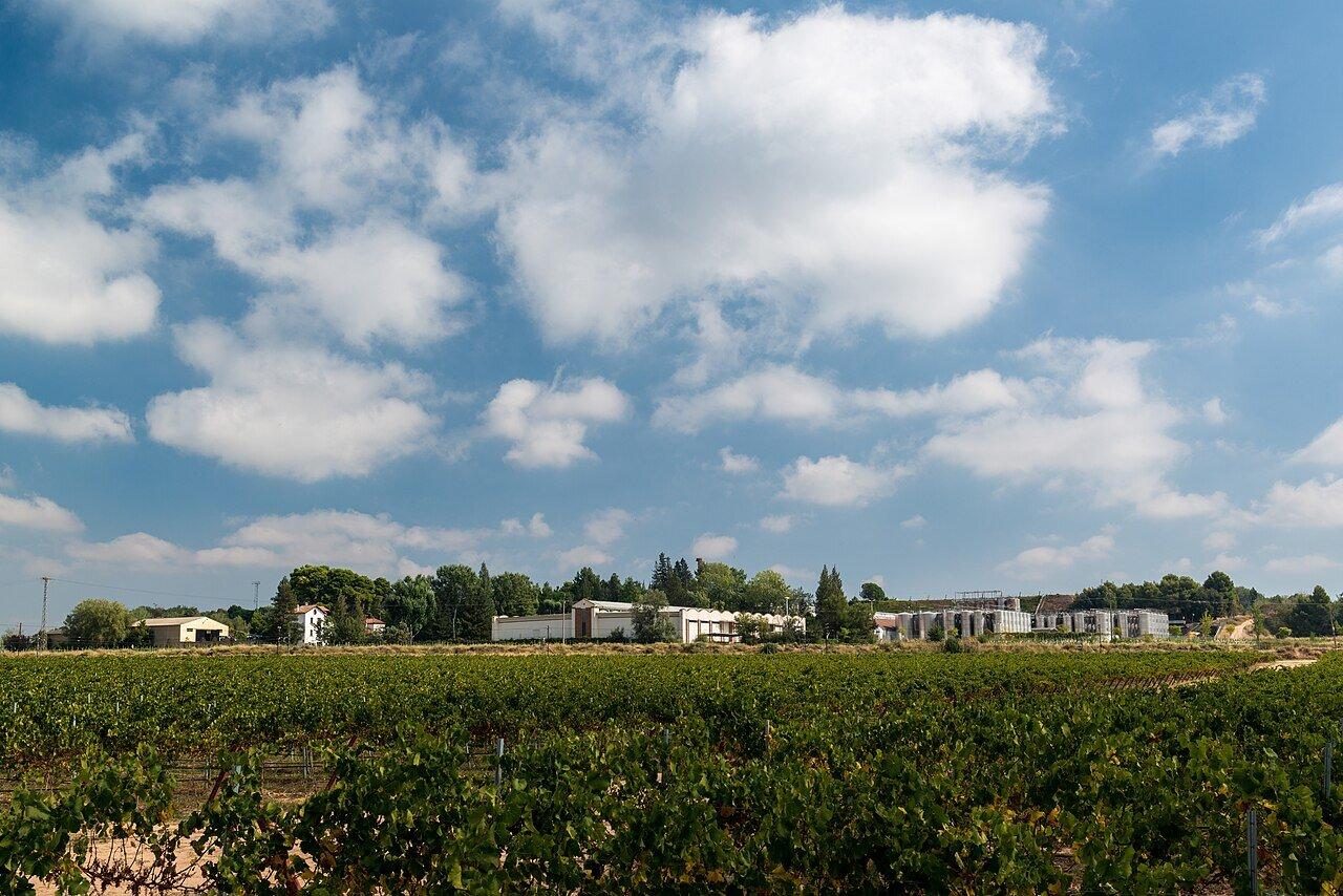 Costers del Segre: A Wine Day from Lleida